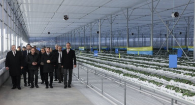 Bafra Sera Organize Tarım Bölgesi’nde Üretim Yerinde İncelendi