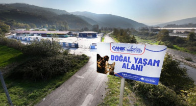 Canik Belediyesi Doğal Yaşam Alanıyla Can Dostlara Kucak Açıyor