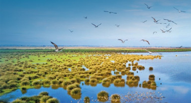 Karadeniz’in Yeşil ve Mavisi Arasında Yükselen Şehir: Samsun