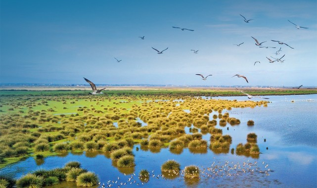 Karadeniz’in Yeşil ve Mavisi Arasında Yükselen Şehir: Samsun