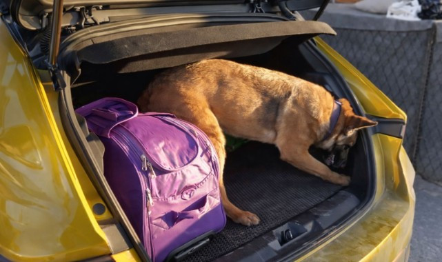 Samsun'da Narkotik Köpeği Pera'dan Bir Başarılı Operasyon Daha