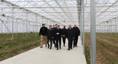 Bafra Sera Organize Tarım Bölgesi’nde Üretim İncelemeleri