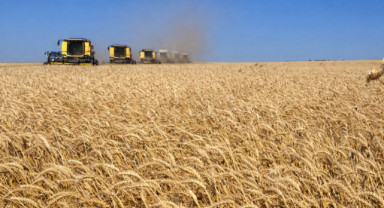 Türkiye’nin 2024-2025 Bitkisel Ürünlerinde Yeterlilik Düzeyi Açıklandı