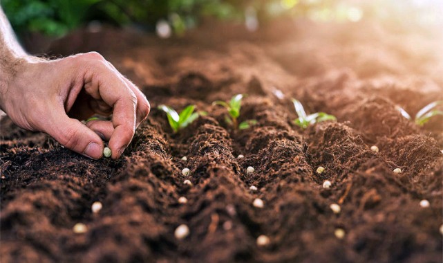 351 Milyon Liralık Tarımsal Destekleme Ödemesi Çiftçilerin Hesaplarına Aktarılıyor