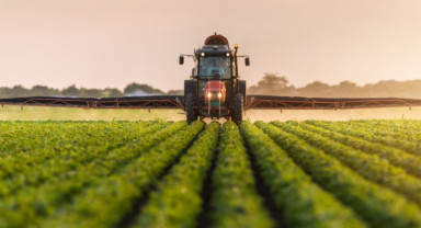 Çiftçilere 12,8 Milyar Liralık Destek Ödemesi Bugün Yapılacak