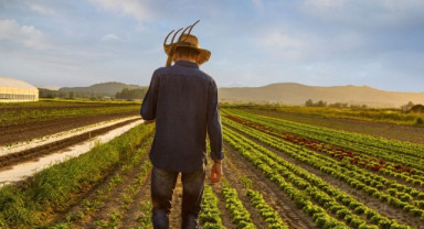 Çiftçilere 19,5 Milyar Lira Tarımsal Destekleme Ödemesi Bugün Yapılacak
