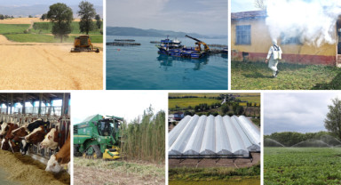 Samsun’da Tarımsal Üretimde Büyük Atılım: 3 Yılda Milyarlarca Liralık Destek