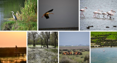 UNESCO Adayı Kızılırmak Deltası’nda 