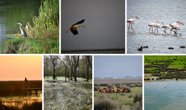 UNESCO Adayı Kızılırmak Deltası’nda 