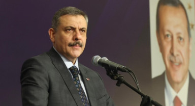 Bakan Çiftçi: “Sahipsiz Hayvanların Yüzde 80’i Toplandı”