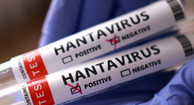 Sağlık Bakanlığı’ndan Hantavirüs Açıklaması: Test Sonuçları Negatif Çıktı