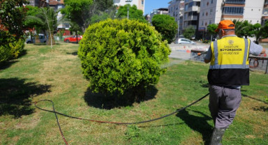 Samsun Büyükşehir Belediyesi'nden Yaz Dönemi Vektörle Mücadele Seferberliği