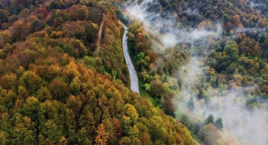 Tarım ve Orman Bakanı Yumaklı'dan Orman Yangınlarına Karşı Kritik Uyarı