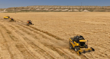 Bakan Yumaklı Kırıkkale’de Arpa Hasadına Katıldı: TMO’dan Rekor Alım