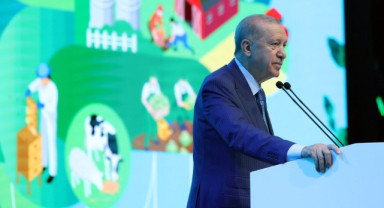 Cumhurbaşkanı Erdoğan: 42 İlde 61 Organize Tarım Bölgesi Kurulacak
