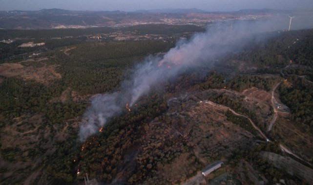 Orman Yangınlarına Neden Olanlara Ağır Yaptırımlar
