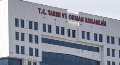 Tarım ve Orman Bakanlığı 1.874 Sözleşmeli Personel Alacak